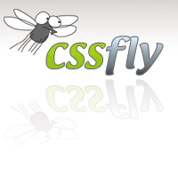 CSS Fly logo
