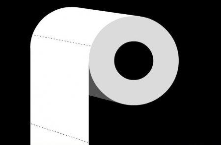 Paper toilet