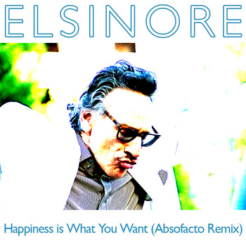 Elsinore - Happiness Is What You Want (Absofacto Remix)