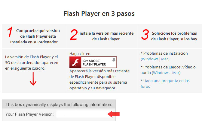 Verifica y actualiza tu versión de Flash Player.