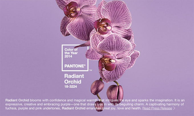 Orquídea radiante o púrpura color del 2014 según Pantone