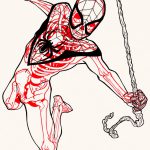XRAY Comic Characters Spiderman by Chris Panda