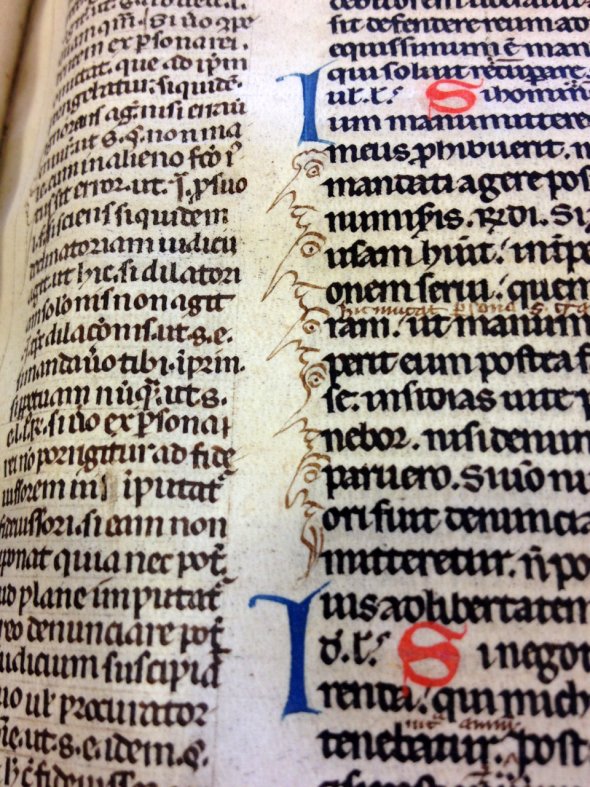 “Estudiantes con narices puntiagudas. Leiden, Biblioteca de la Universidad, MS BPL 6 C (siglo 13)."