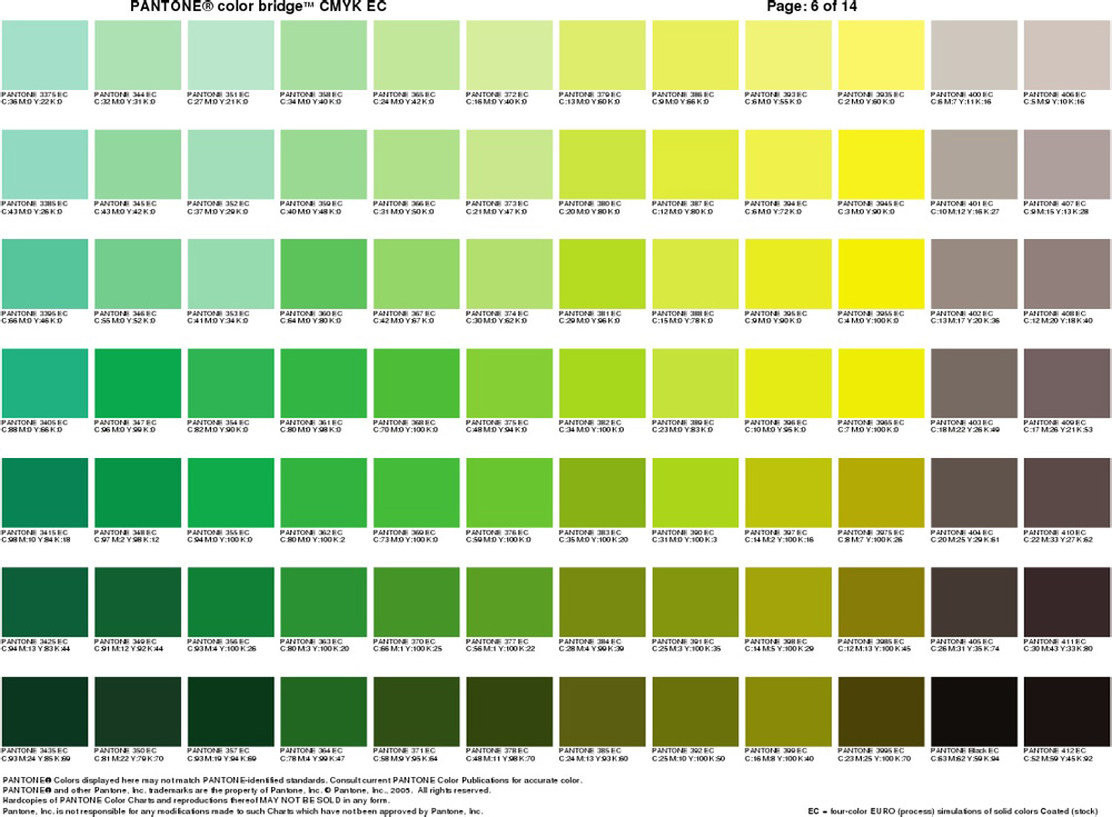 ¿Cómo debería ser tu marca para elegir el color verde?