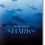 Shark. Michael Muller, portada