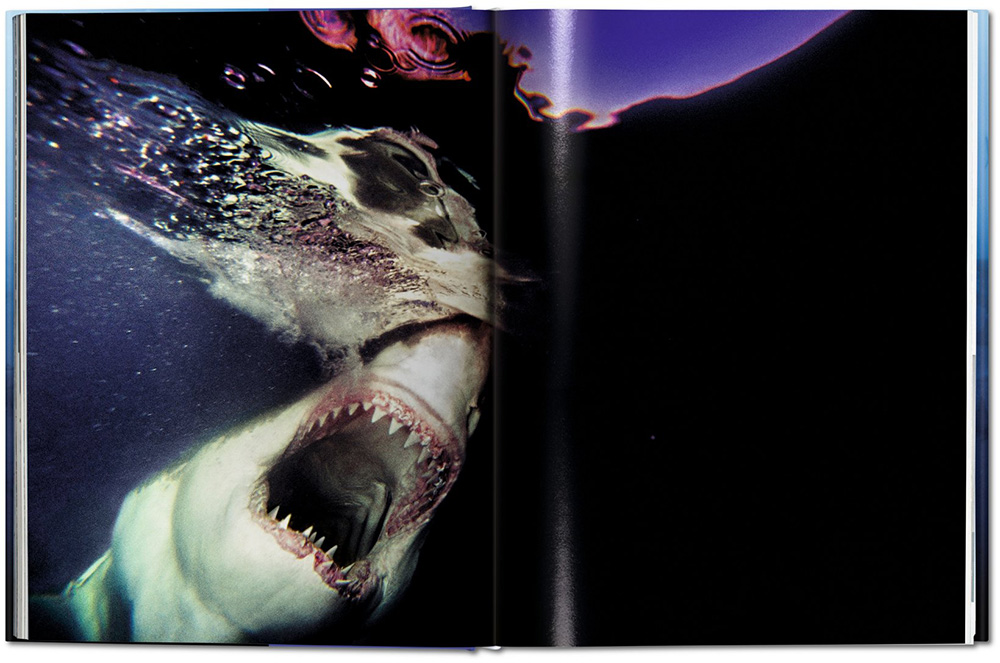 Michael-Muller-Sharks-cover8