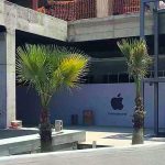 Desmienten apertura de Apple Store en San Luis Potosí