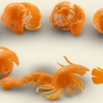 'Mikamuki' El inusual arte elaborado con cáscaras de mandarinas