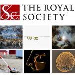 Las mejores fotos científicas del 2017, según Royal Society