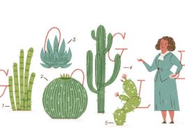 Google celebra a la Dra. Helia Bravo Hollis, la reina de los cactus