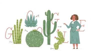 Google celebra a la Dra. Helia Bravo Hollis, la reina de los cactus