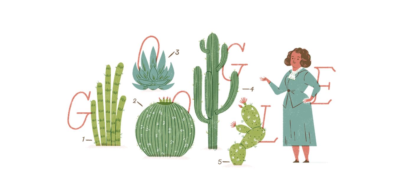 Google celebra a la Dra. Helia Bravo Hollis, la reina de los cactus