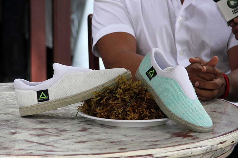 OVA | El zapatos ecológico con suela hecha de sargazo y plástico reciclado