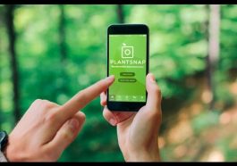 apps verdes