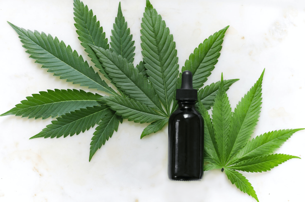 La startup Canncura explica el siguiente paso para la liberación del cannabis