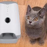 Cuida a tu gato sin estar en casa: Dispensador de alimento inteligente