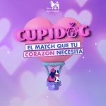 Cupidog: El match que tu corazón necesita