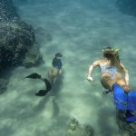 ¿Quieres crear contenidos bajo el agua? Descubre cómo documentar un viaje acuático de distintas maneras con GoPro