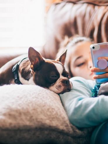 ¡Presume a tu peludo! Una profesional te da los mejores tips para sacarle fotos con tu celular