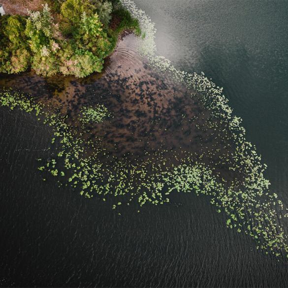 Siete startups fueron seleccionadas para participar en el programa Innovation for Ecosystem Restoration: Latam 2023