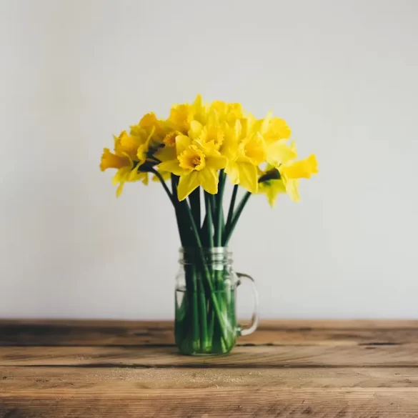 Regalar flores amarillas el 21 marzo
