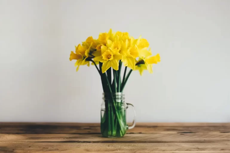Regalar flores amarillas el 21 marzo