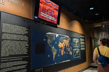 Televisores LG OLED en Museo Nacional de Antropología