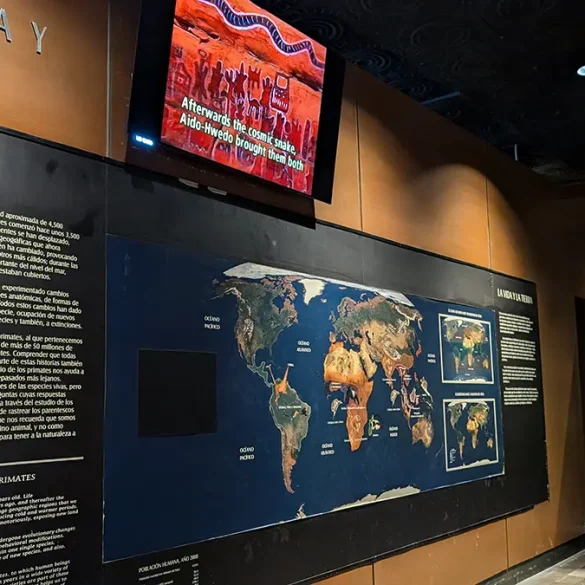 Televisores LG OLED en Museo Nacional de Antropología