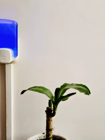 Trampa de Luz STEM en un hogar, atrapando insectos sin insecticidas ni ruido