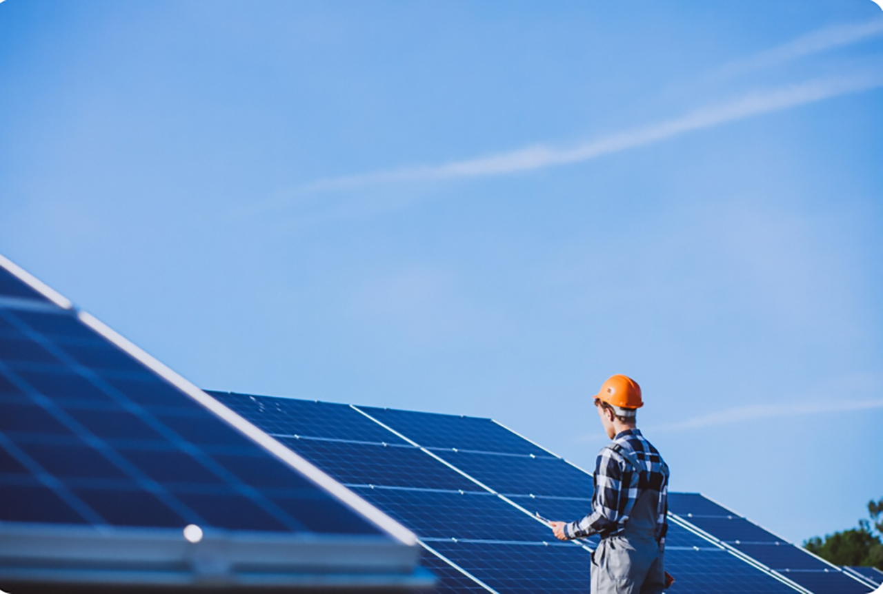 Grupo Bachoco afirma su compromiso con el cambio climático en más de 200 de sus instalaciones 